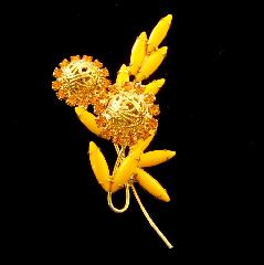 Yellow Navettes Brooch