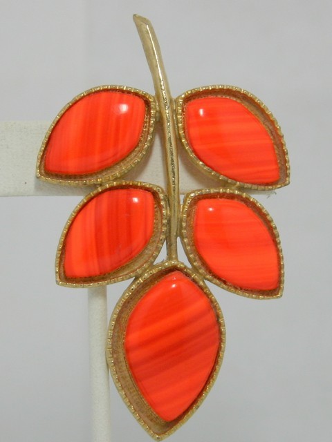 Front view of Orange Chatons Only Striped