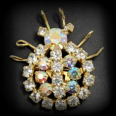 Clear Chatons Only Brooch