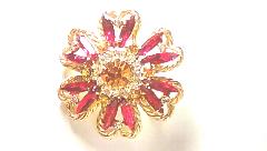 Red Navettes Brooch