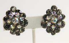 Gray (black Diamond) Chatons Only Earrings Clip