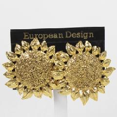 Earrings Clip