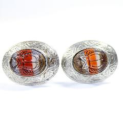 Multiple Colors Cabochons Molded/Cut Earrings Clip