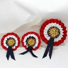 Patriotic Earrings Clip