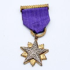 Purple (cardinal) Brooch