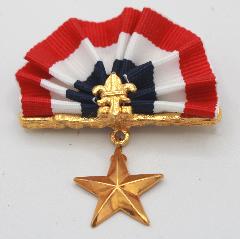 Patriotic Brooch