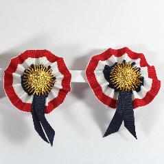 Multiple Colors Earrings Clip