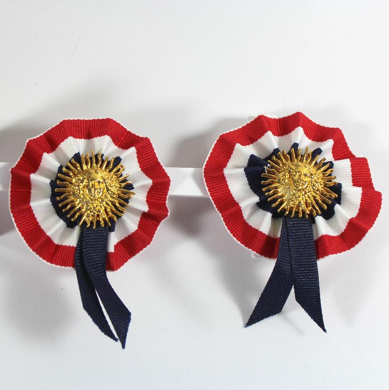 Front view of Multiple Colors Earrings Clip