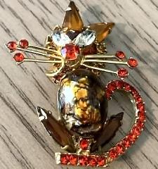 Fall Cabochons Multi-Color/Shaded Brooch
