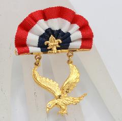 Patriotic Brooch