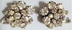 Clear Navettes Earrings Clip